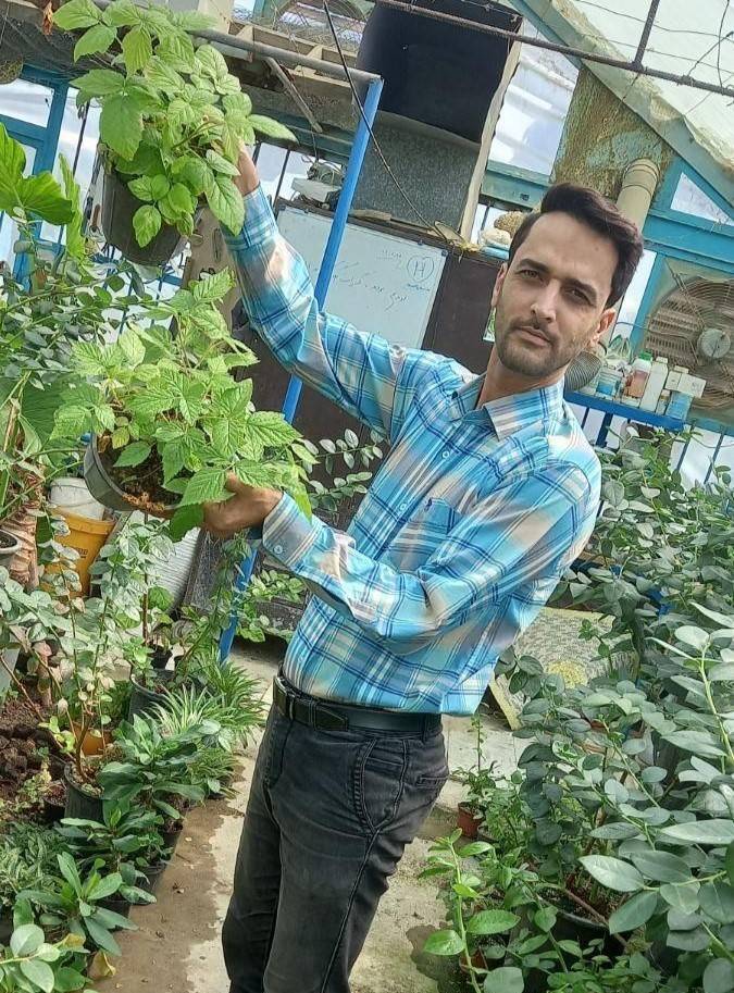 نهال بلوبری سرحال و درجه یک